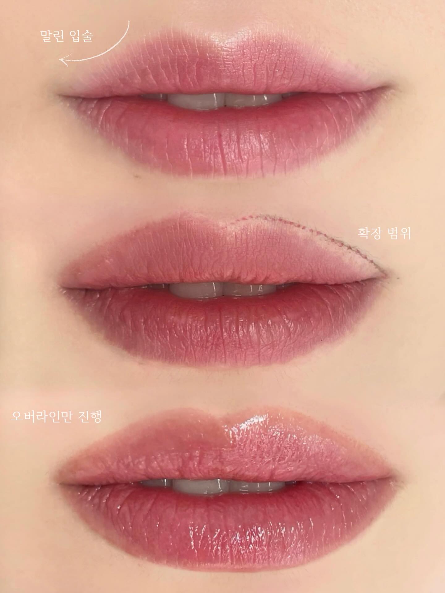 립 디자인의 디테일